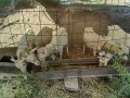 IMG_20251009_082643