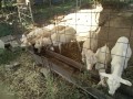 IMG_20251009_082652