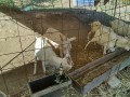 IMG_20251009_082706