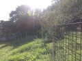 IMG_20251009_082732