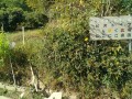 IMG_20251010_091401