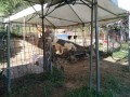 IMG_20251010_091725