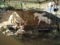 IMG_20251010_093908