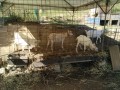 IMG_20251010_093913