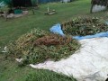 IMG_20251011_170648