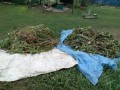 IMG_20251011_170654