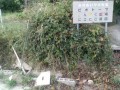 IMG_20251013_103534