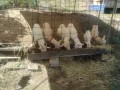 IMG_20251013_104708