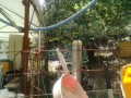 IMG_20251013_104728