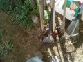 IMG_20251013_104728_1