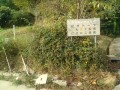 IMG_20251014_084828