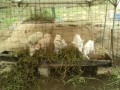 IMG_20251014_092203