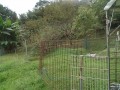 IMG_20251014_092255