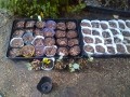 IMG_20251014_173033