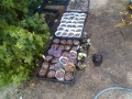 IMG_20251014_173039
