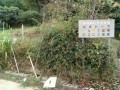 IMG_20251015_090952