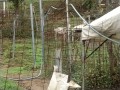 IMG_20251015_091610