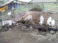 IMG_20251015_092750
