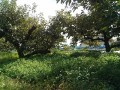 IMG_20251015_104221