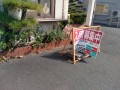 IMG_20251015_113901