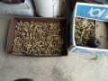 IMG_20251016_121331