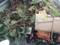 IMG_20251016_121350