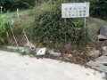 IMG_20251016_161720