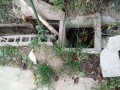 IMG_20251016_161726