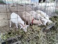 IMG_20251016_162207