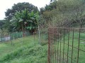 IMG_20251016_162303