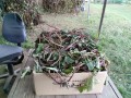 IMG_20251016_162834