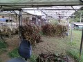 IMG_20251016_162840