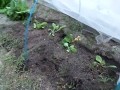 IMG_20251016_173055