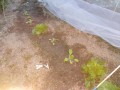 IMG_20251016_173103
