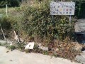 IMG_20251017_091109