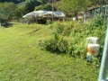 IMG_20251017_091142