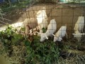 IMG_20251017_091623