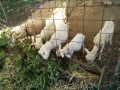 IMG_20251017_091639