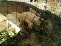 IMG_20251017_091647