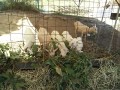 IMG_20251017_091655