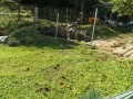 IMG_20251017_091720