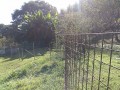 IMG_20251017_091722