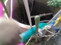 IMG_20251018_100245
