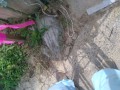 IMG_20251018_100249