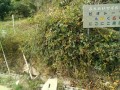 IMG_20251018_100256