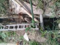 IMG_20251018_100303