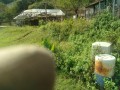 IMG_20251018_100334