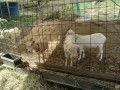 IMG_20251018_100501