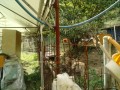 IMG_20251018_100512