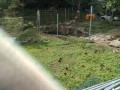 IMG_20251018_100905